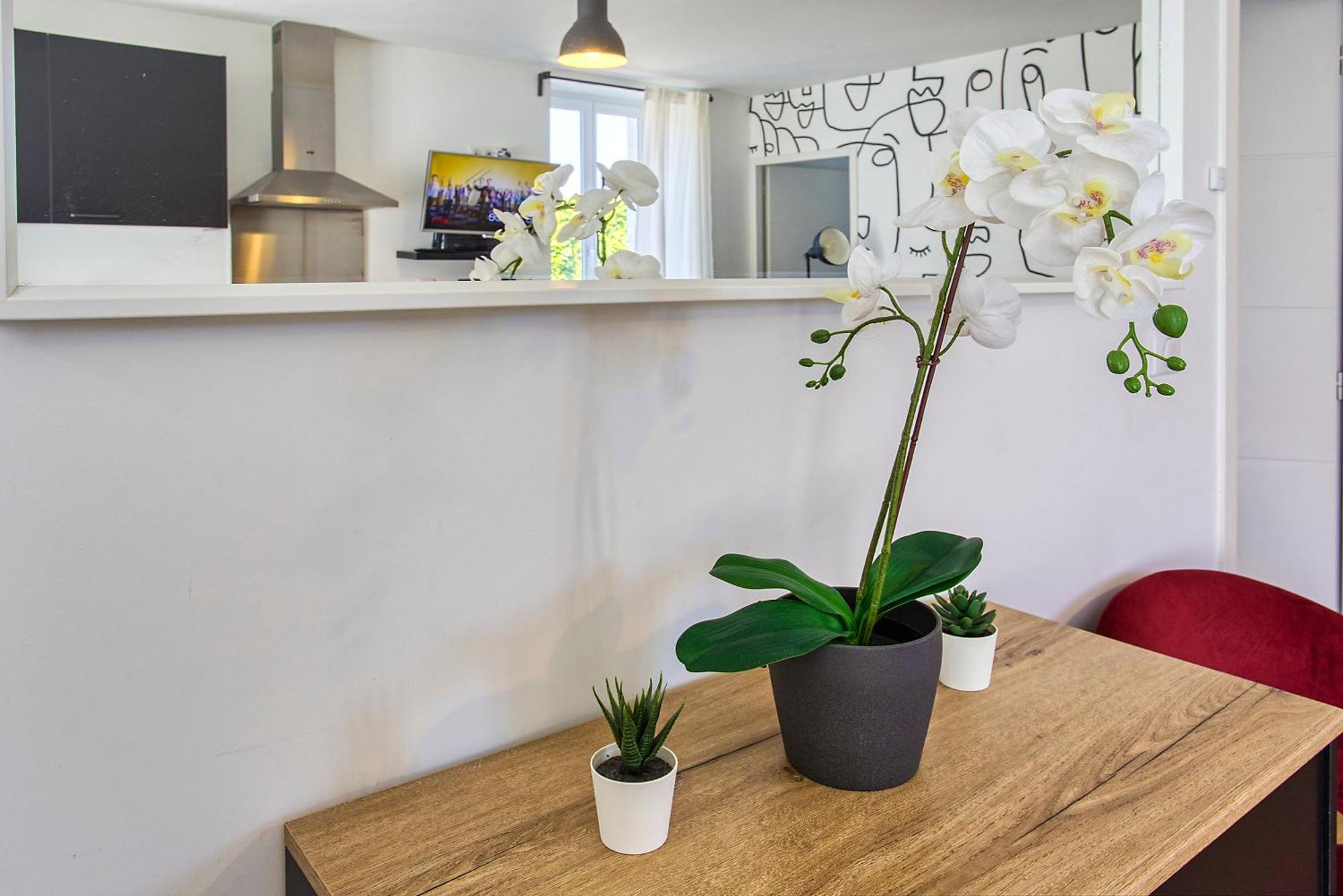 Appartement de Chez Lambert aseptisé et prêt T3 50m2 Netflix - Angoulême Esterno foto